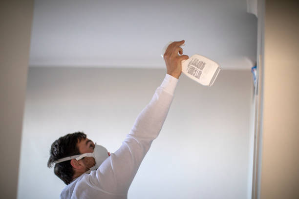 Best Mold Removal Near Me  in Highland, AR