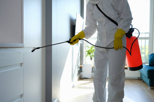 Professional Mold Removal in Highland, AR