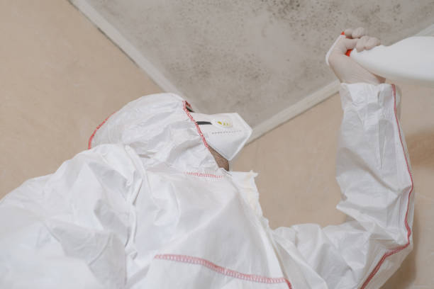 Best Office Mold Removal Services  in Highland, AR
