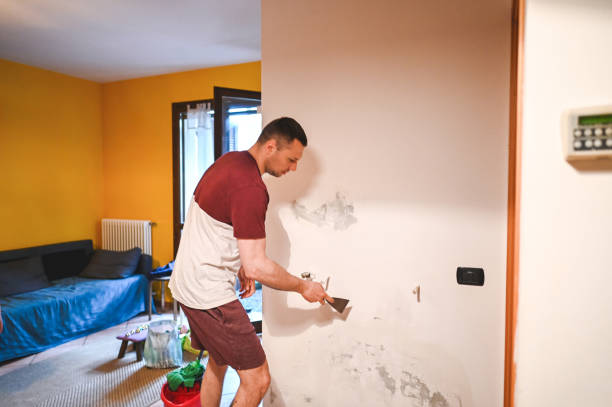 Best Black Mold Removal  in Highland, AR